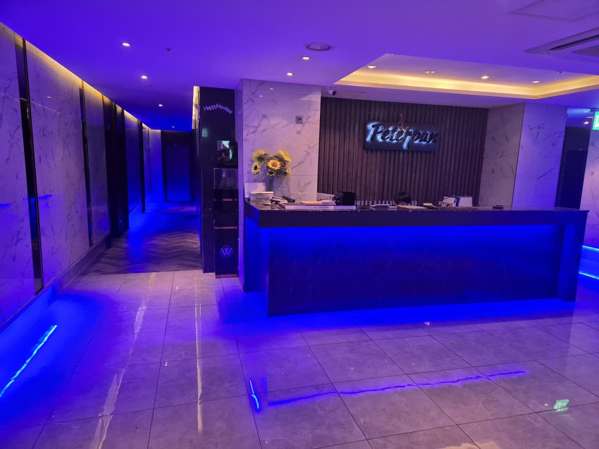 서울 서초 서초동 피터팬 깨끗한 내부 및 시설 전경 (1)