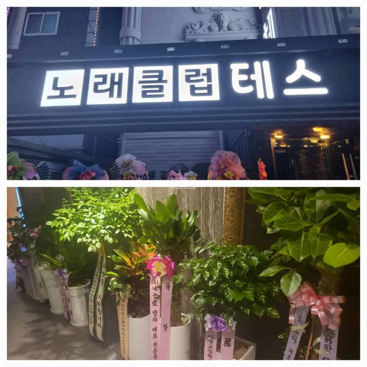 충남 아산 온천동 테스노래클럽 김인진 실장 대표 이미지