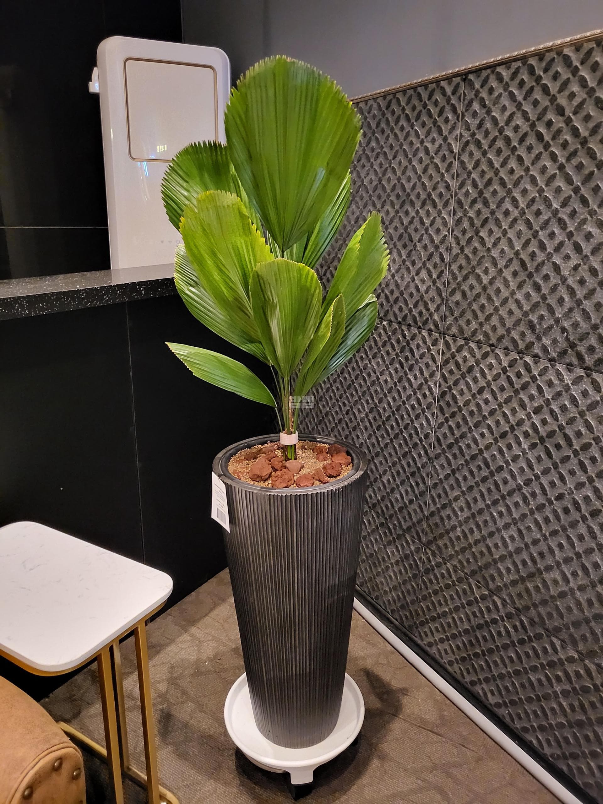 충북 청주 복대동 문 깨끗한 내부 및 시설 전경 (3)