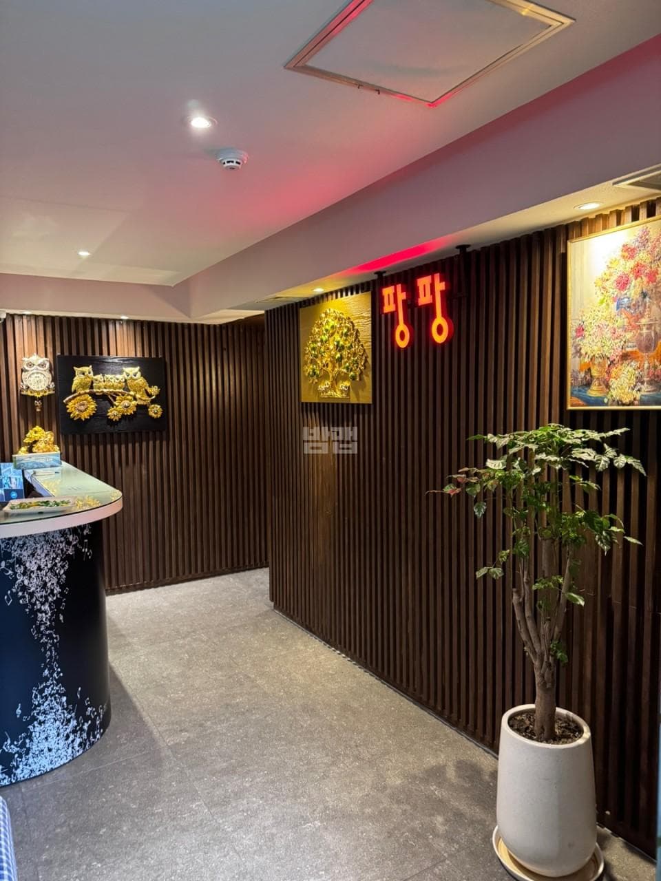 서울 중구 충무로4가 팡팡노래짱 박상은 실장 대표 이미지