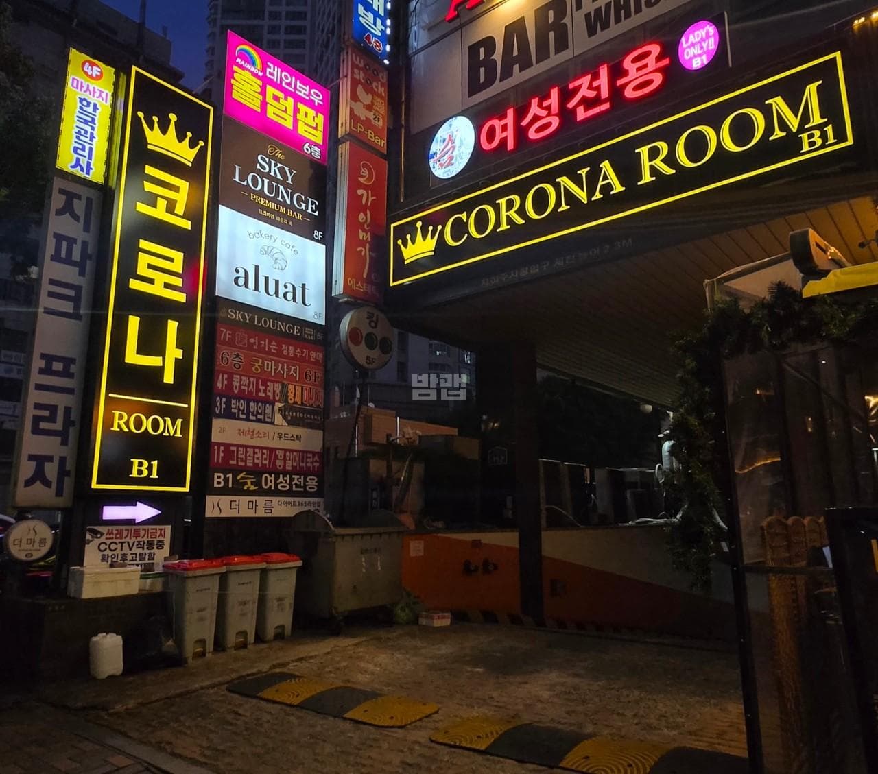 경기 성남 정자동 코로나 이승철 실장 대표 이미지