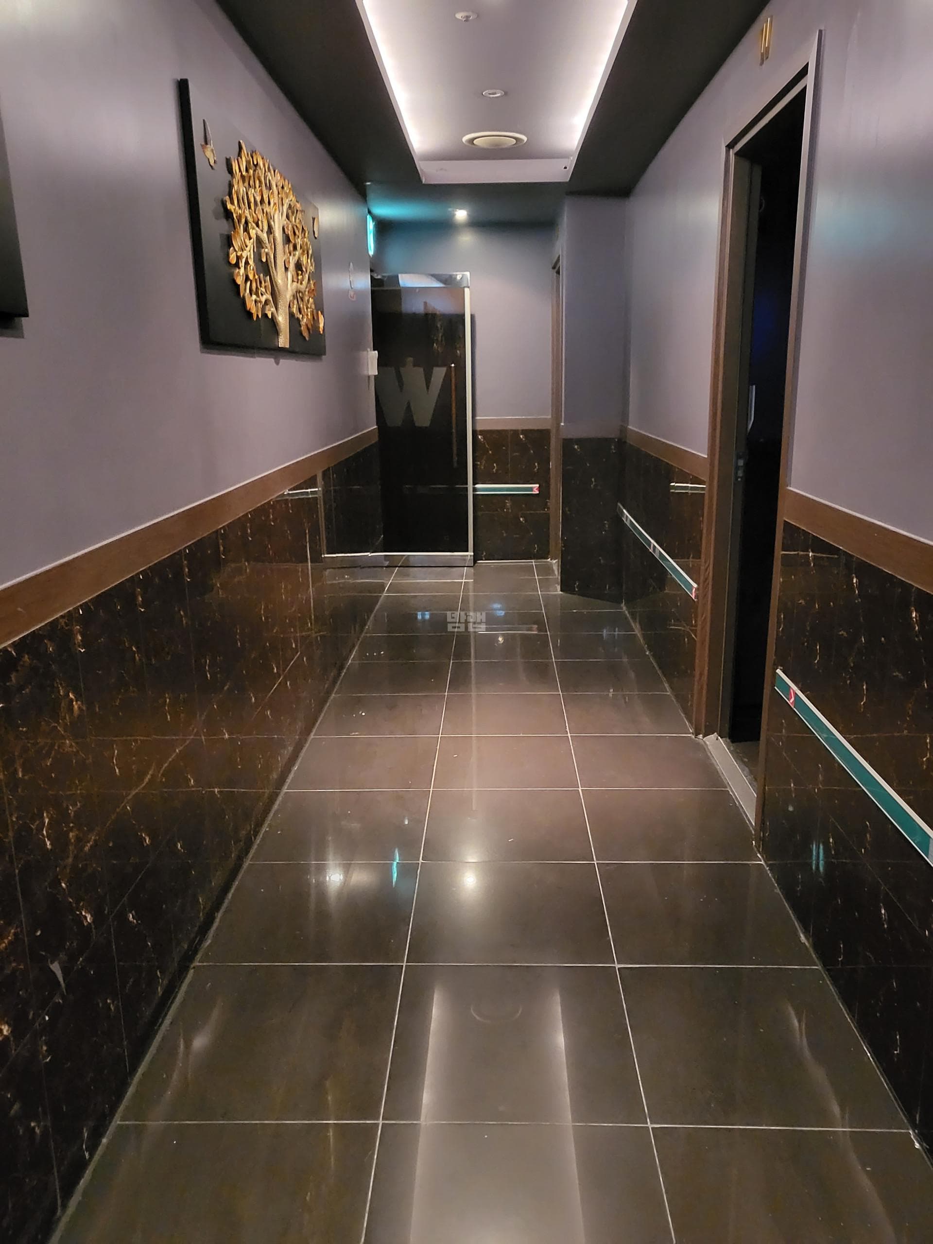 서울 성동 도선동 W 더블유 채신호 실장 대표 이미지