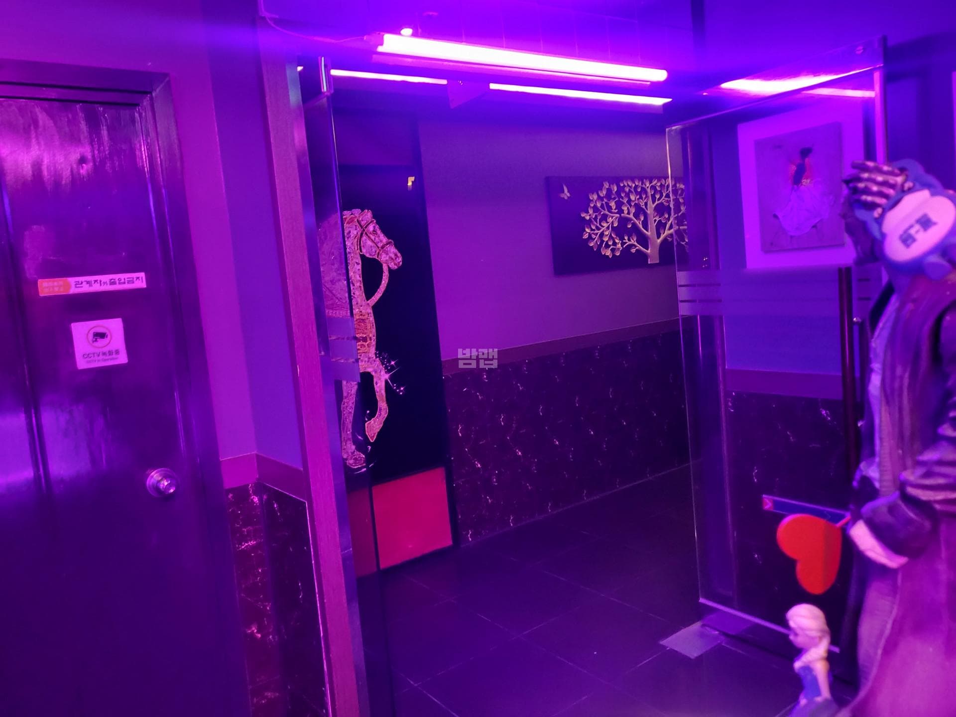 서울 성동 도선동 W 더블유 깨끗한 내부 및 시설 전경 (2)