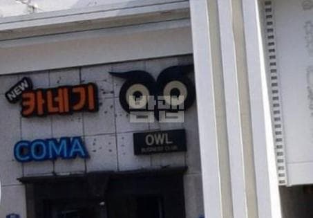 대구 수성 황금동 부엉이(OWL) 이동현 실장 대표 이미지