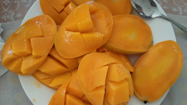 술 과일 오징어