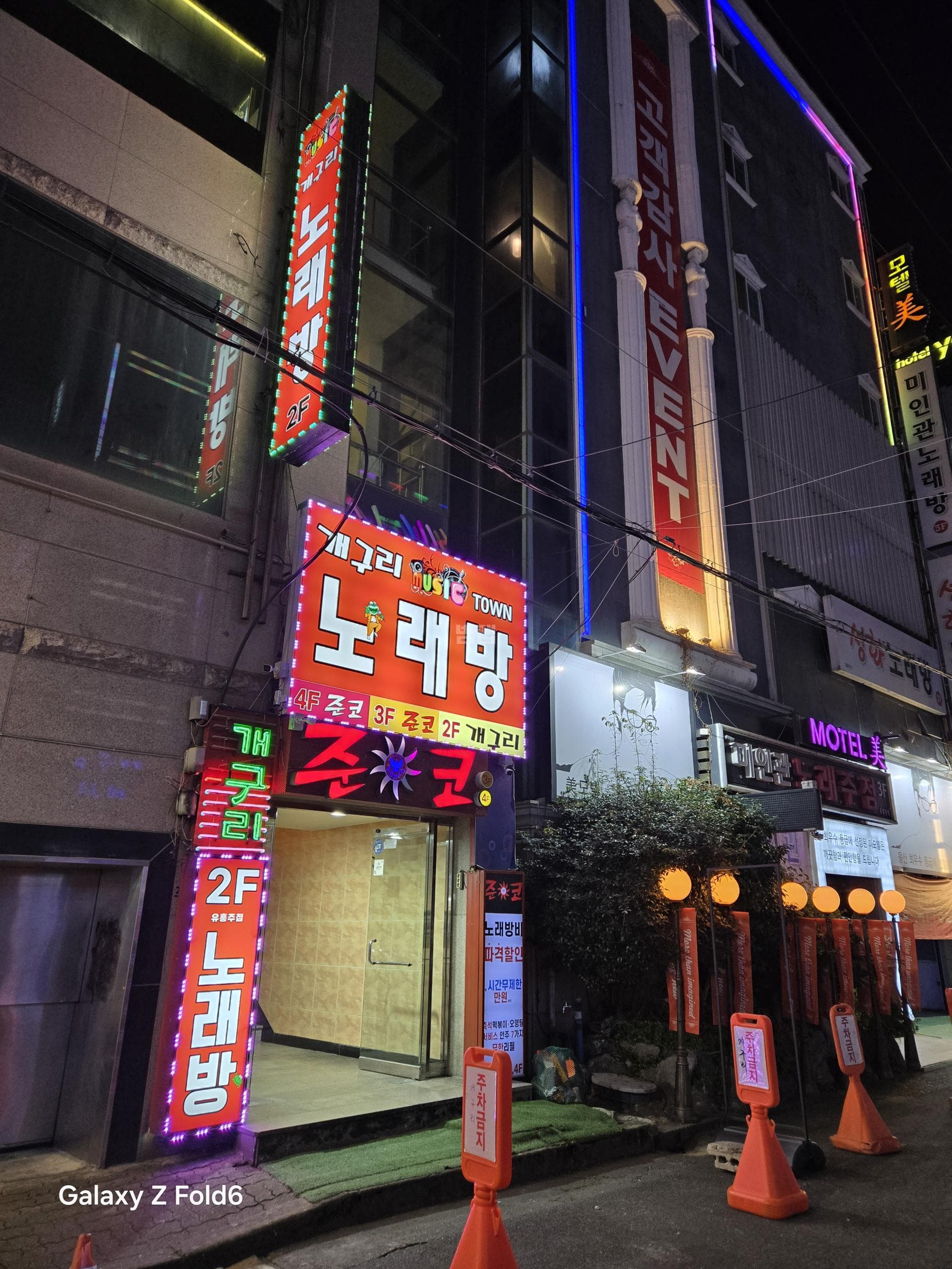 울산 남구 달동 개구리 이화 실장 대표 이미지