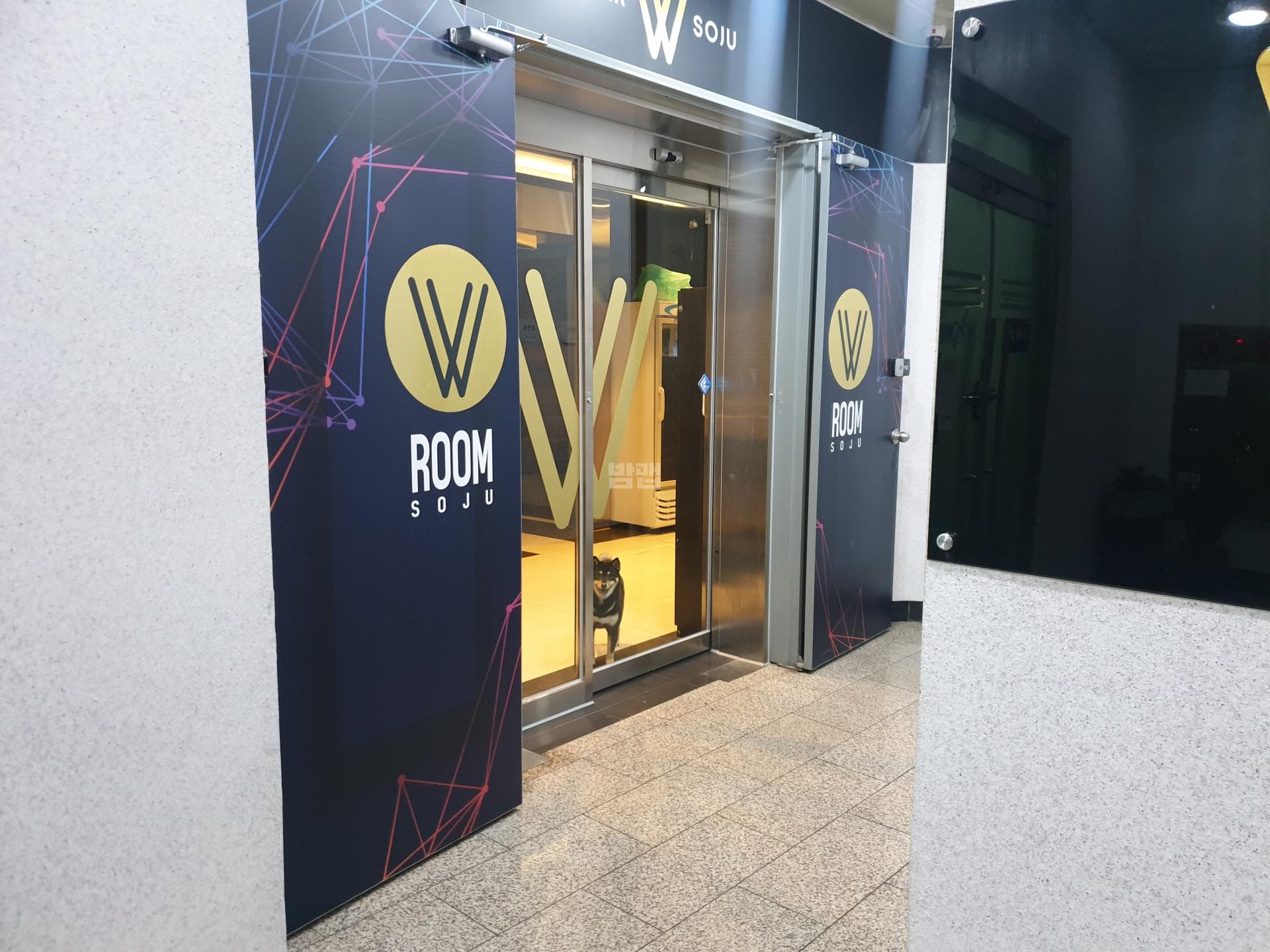 광주 서구 치평동 더블유룸소주 김병용 실장 대표 이미지