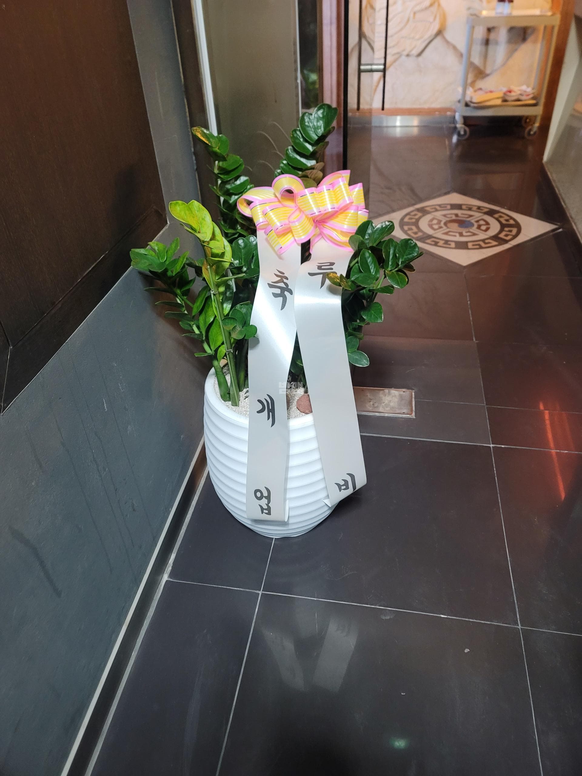 울산 남구 달동 보스 박기령 실장 대표 이미지