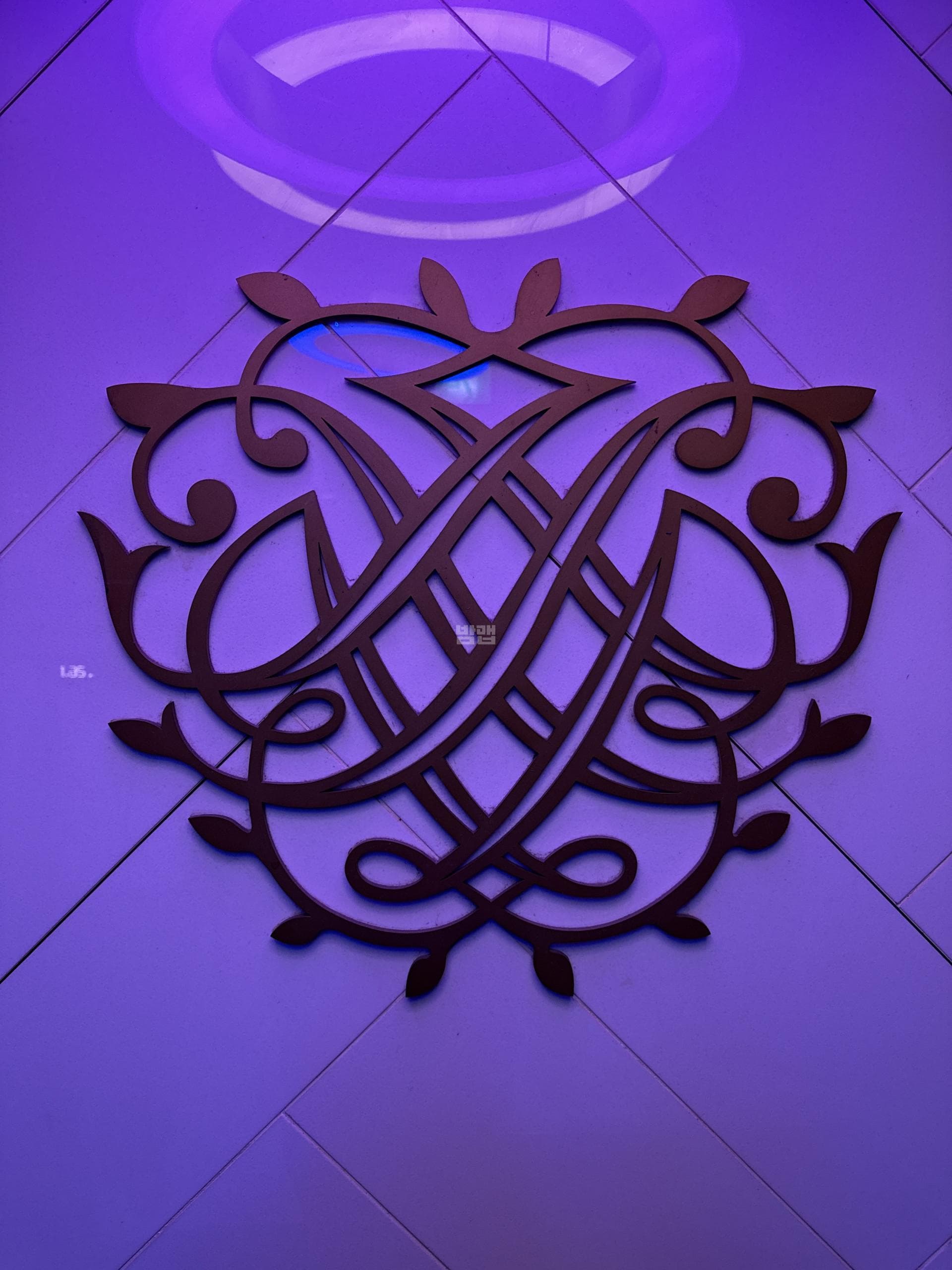 서울 강남 신사동 퀸 깨끗한 내부 및 시설 전경 (2)