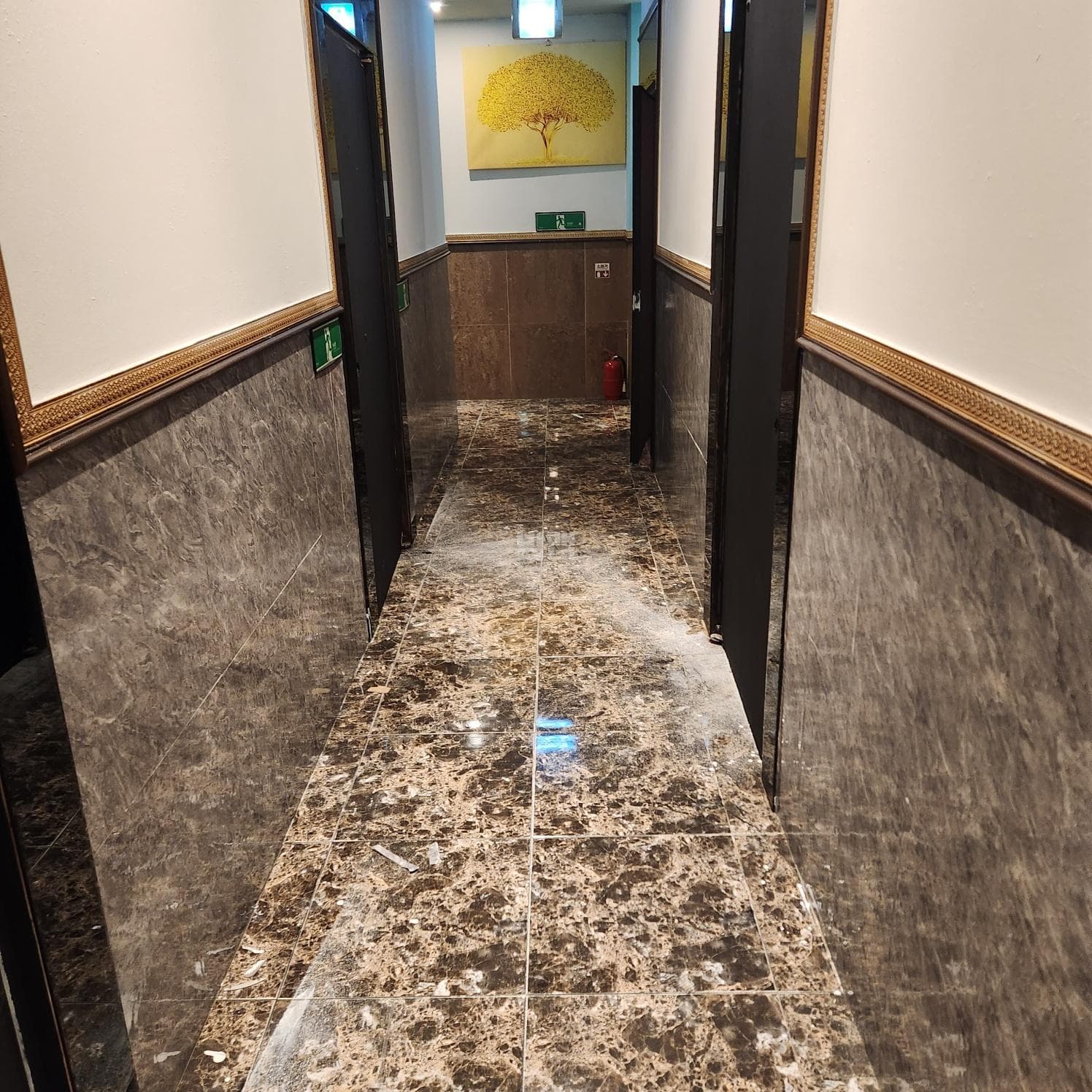 광주 서구 치평동 에이스 이대호 실장 대표 이미지