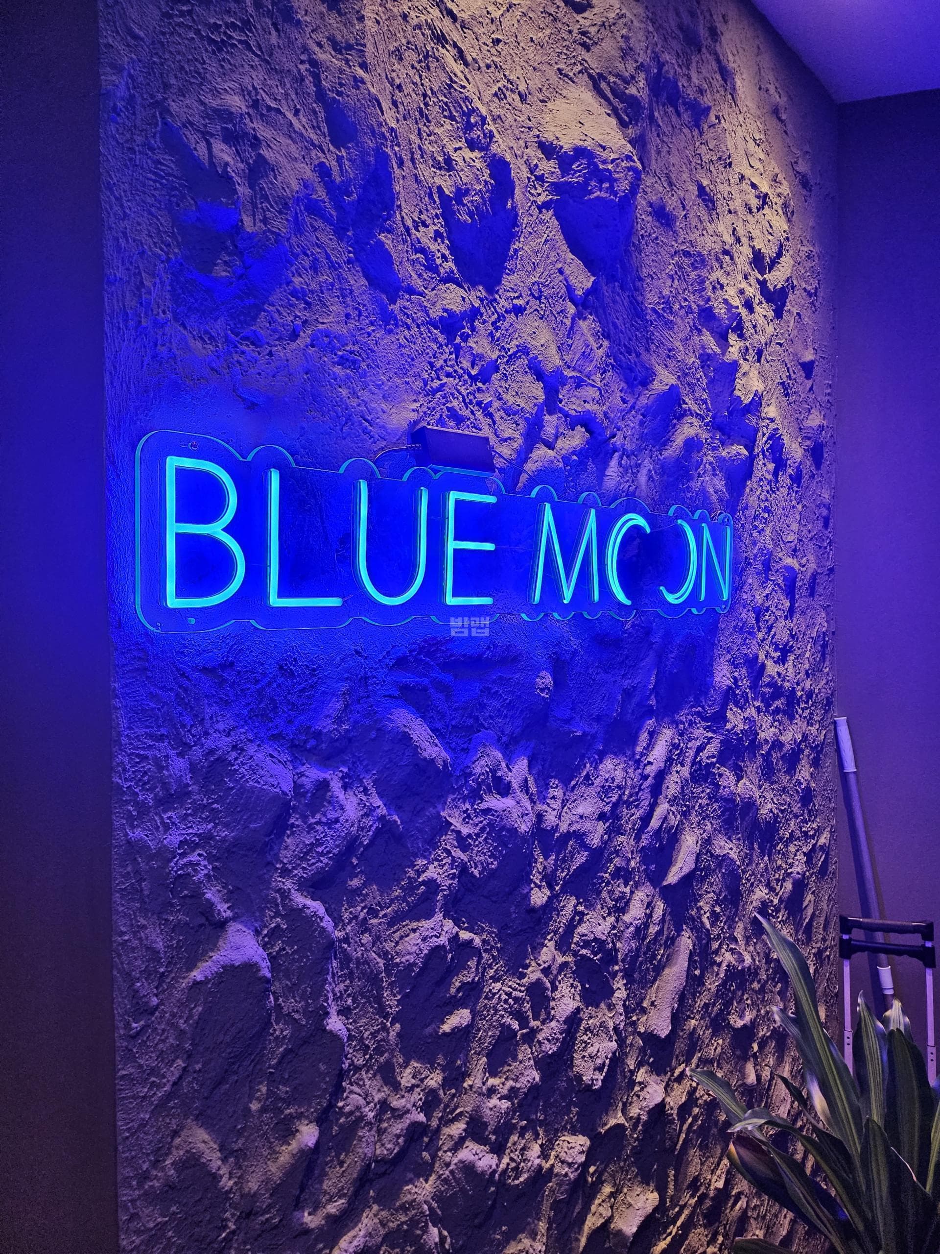 경기 수원 금곡동 블루문비지니스클럽 고민진 실장 대표 이미지