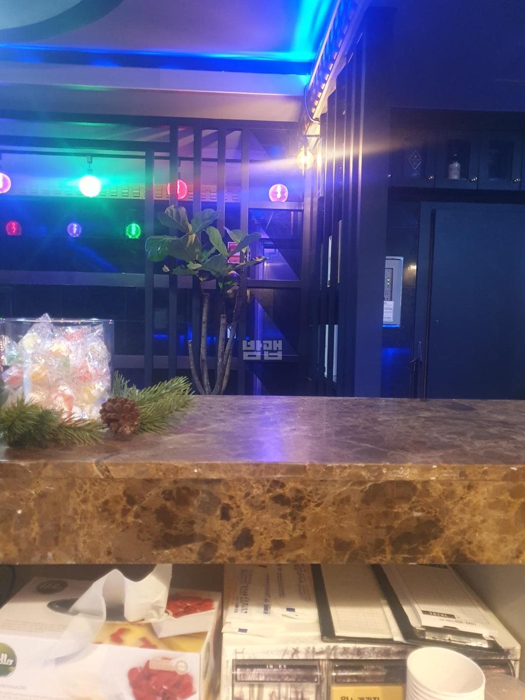 경기 시흥 정왕동 왕노래광장 김국우 실장 대표 이미지