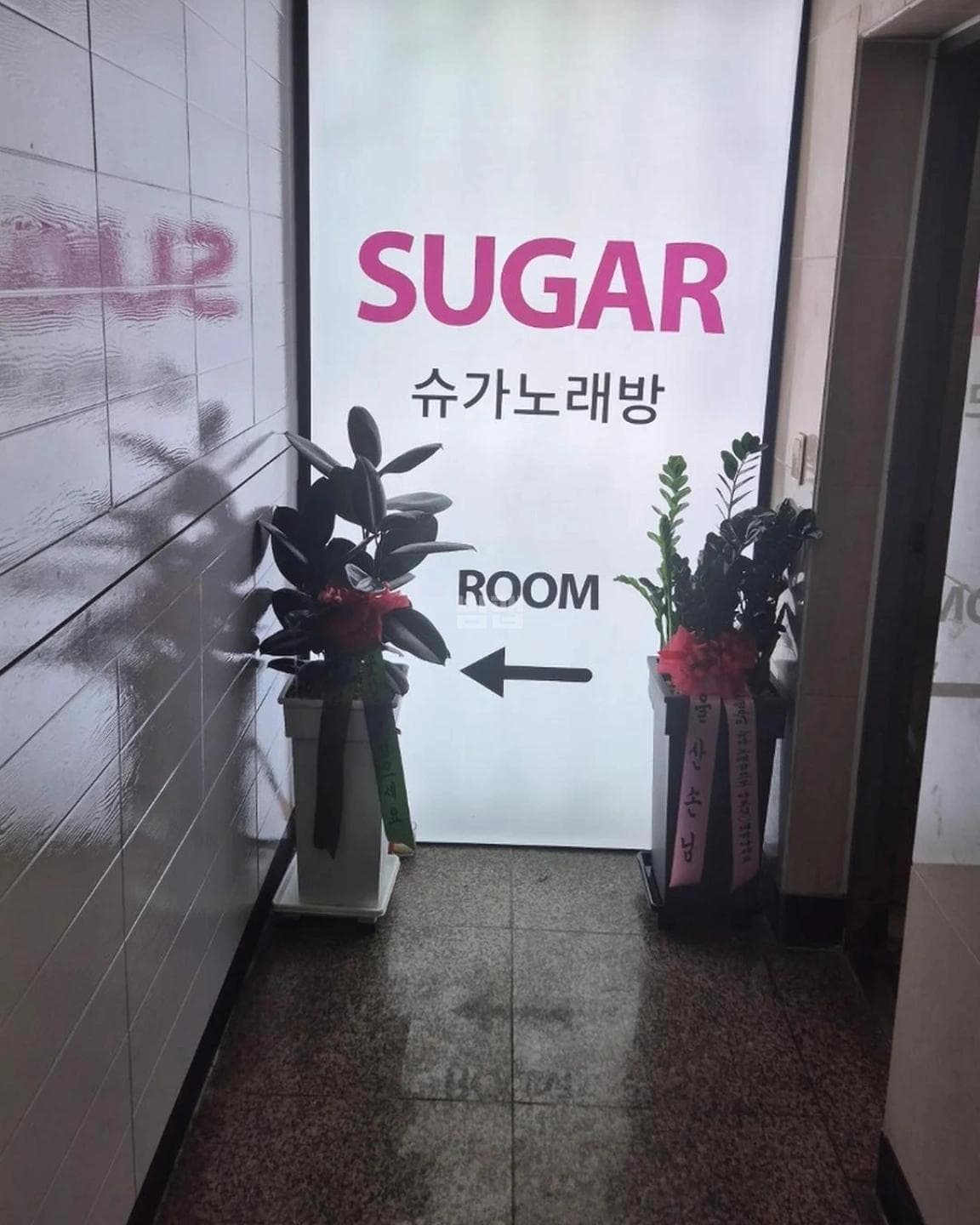 경남 창원 상남동 슈가술마시는노래방 김정아 실장 대표 이미지