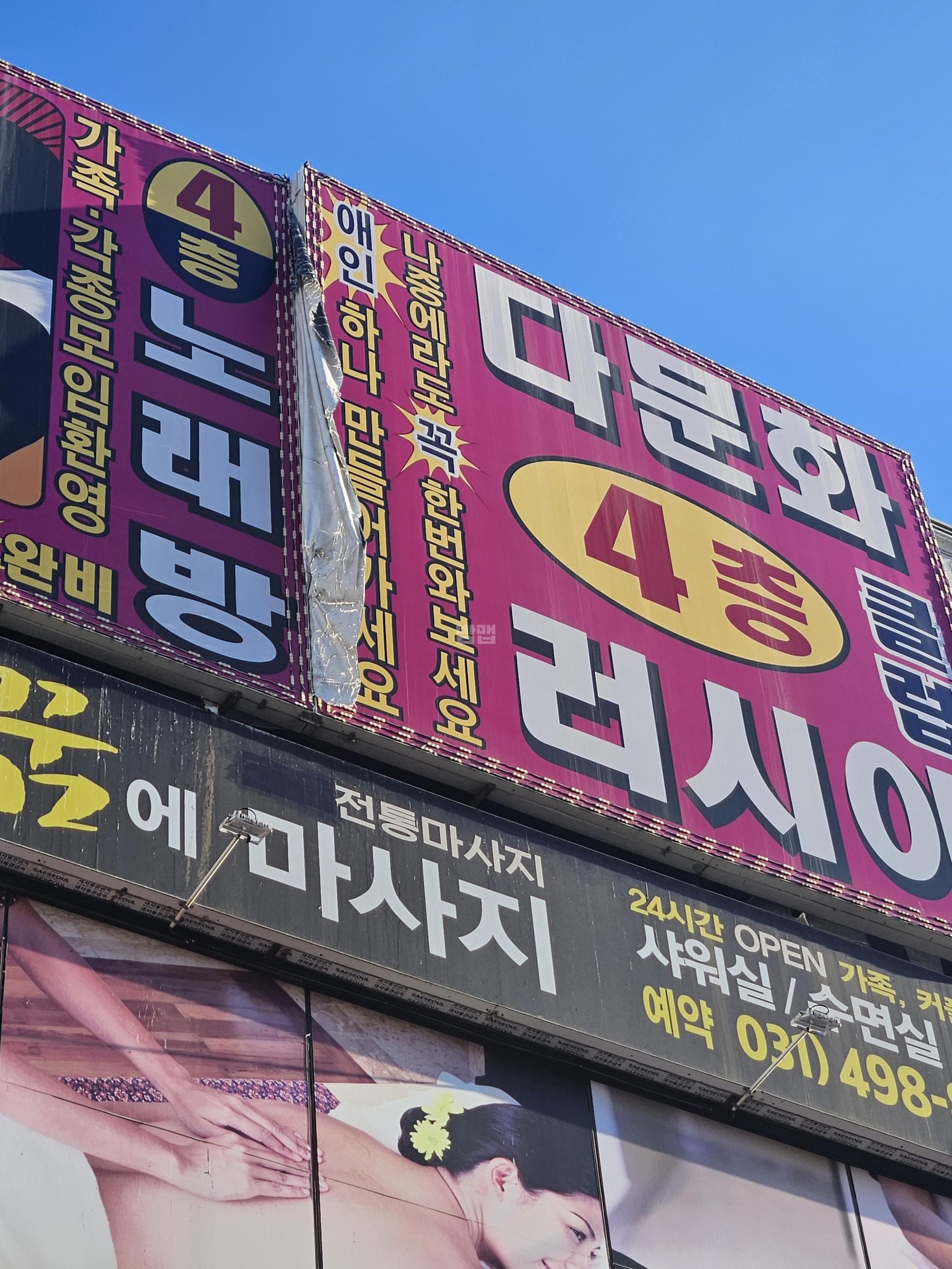 경기 시흥 정왕동 똥광 김대선 실장 대표 이미지