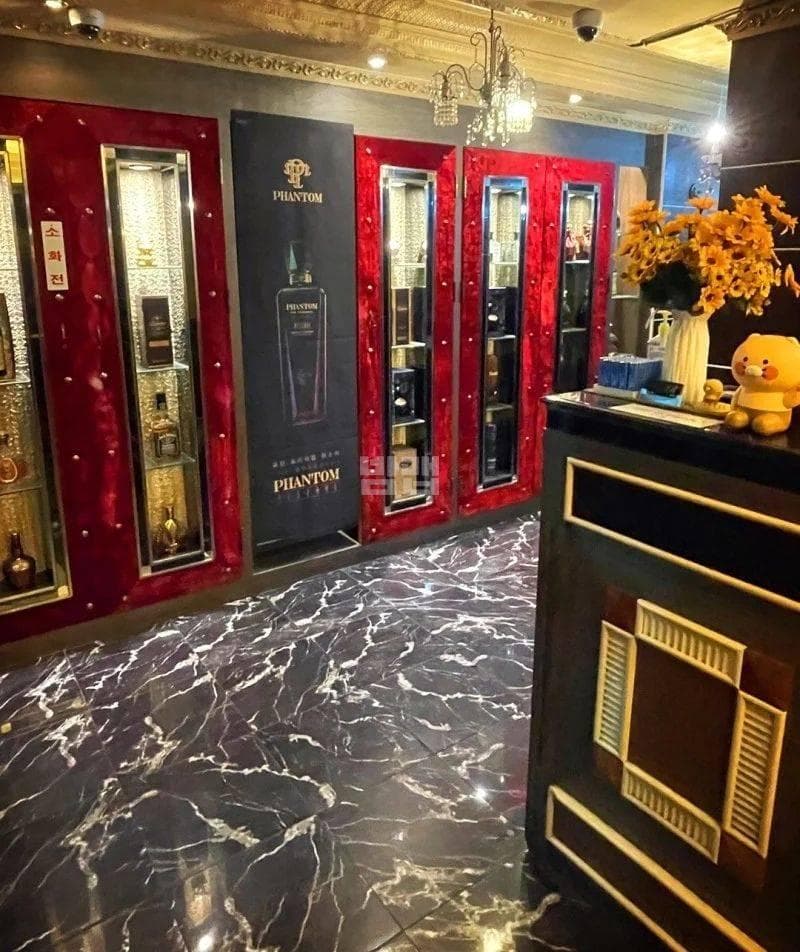 부산 사하 하단동 스캔들 정치환 실장 대표 이미지