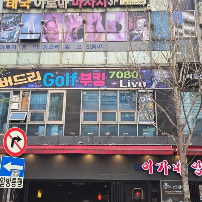 버드리 골프 부킹 라이브