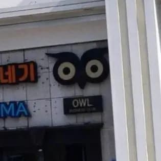 부엉이(OWL)