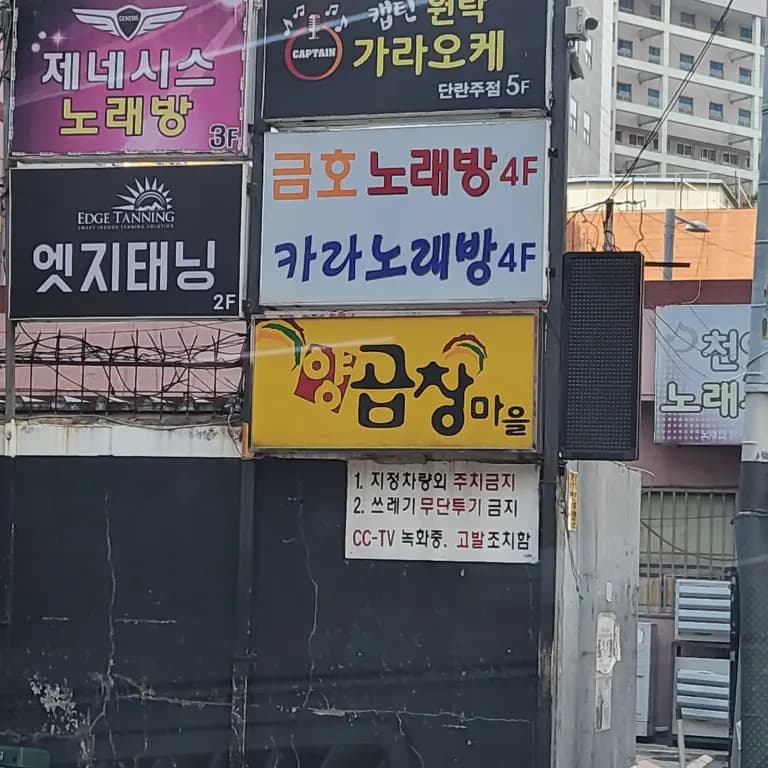 카라노래주점