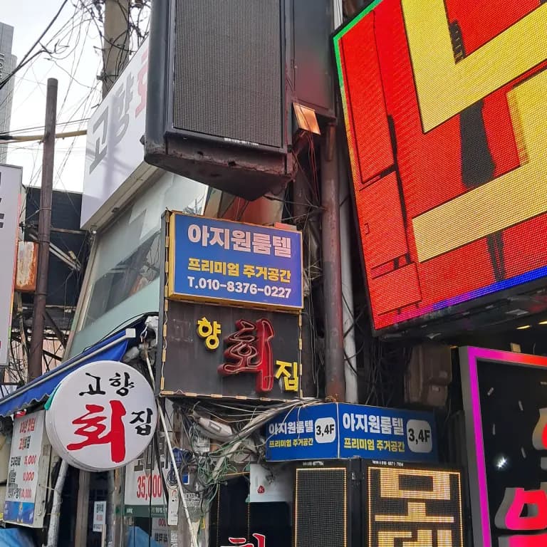 모델노래바