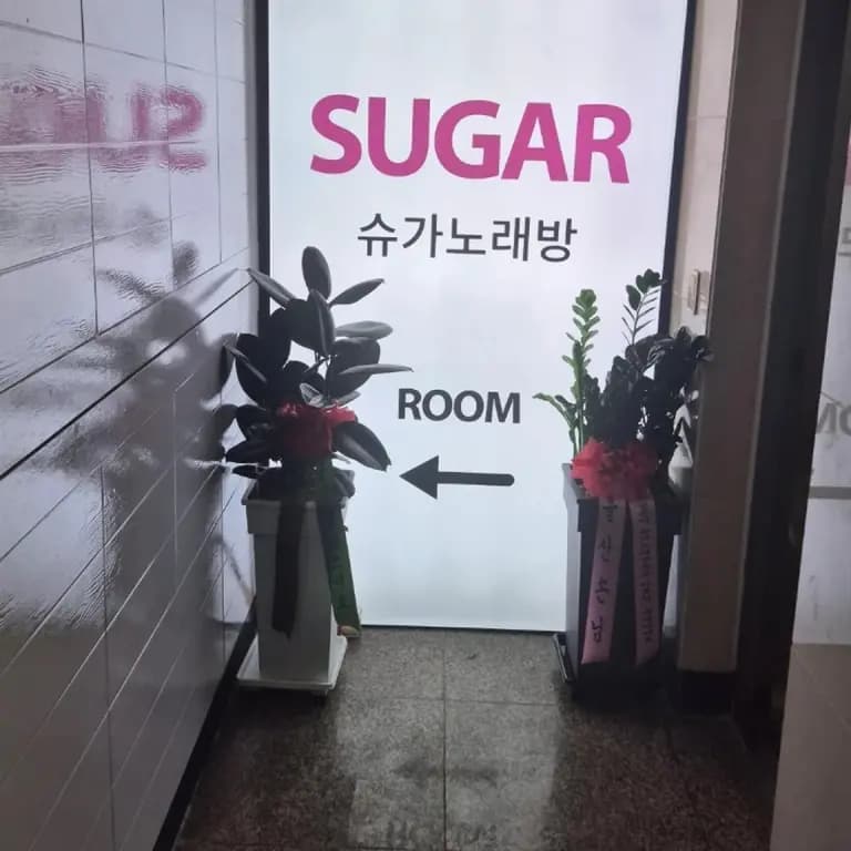 슈가술마시는노래방
