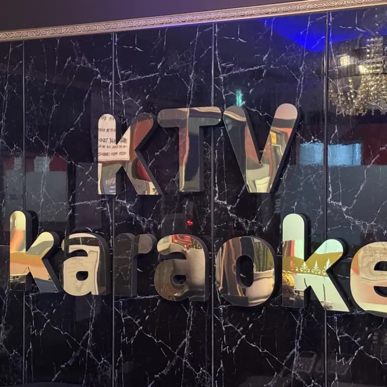 케이티브이(KTV)베트남노래타운