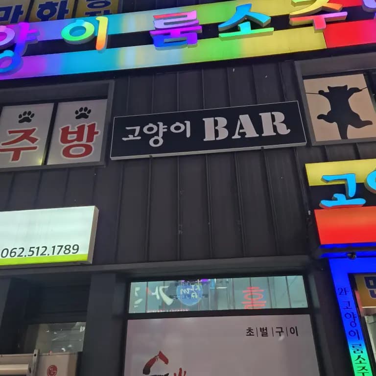 술마시는고양이노래홀