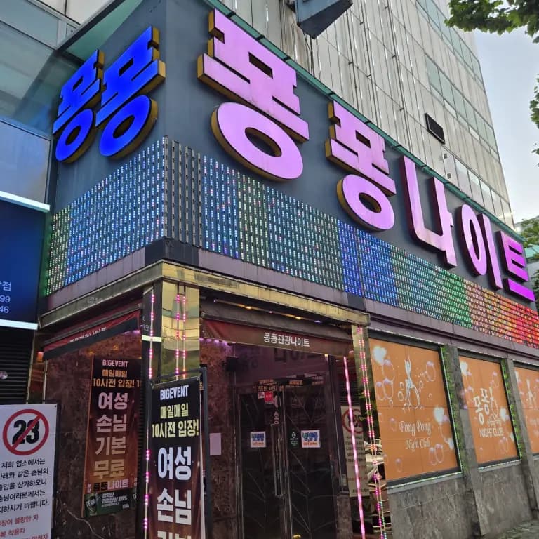 퐁퐁나이트